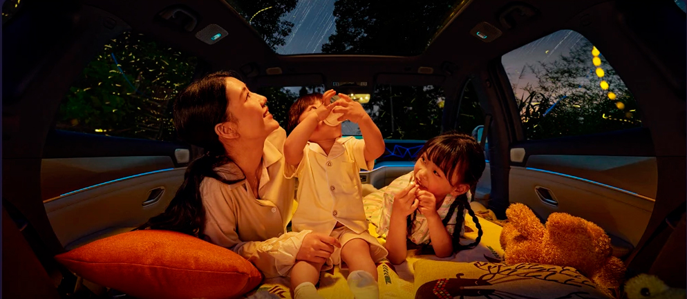 Багажний простір Pro